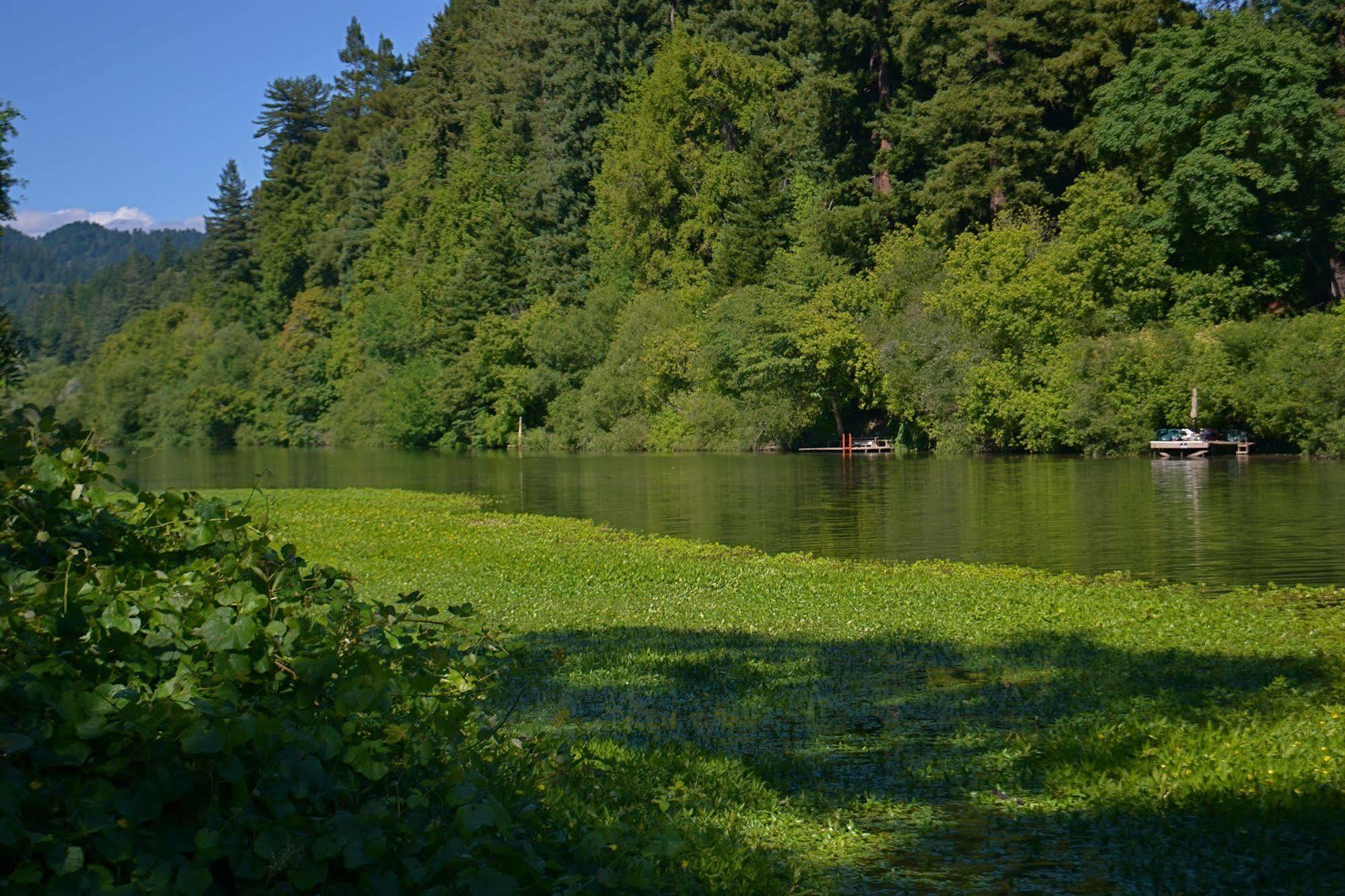 Guerneville Lodge Dış mekan fotoğraf