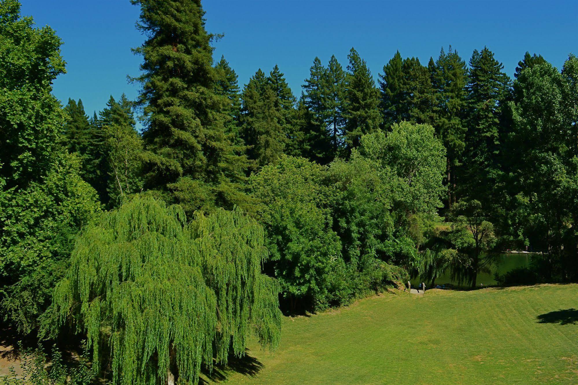 Guerneville Lodge Dış mekan fotoğraf