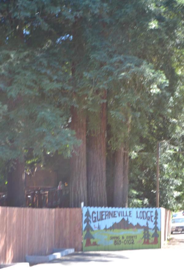 Guerneville Lodge Dış mekan fotoğraf